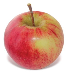 Photo pomme Ben davis