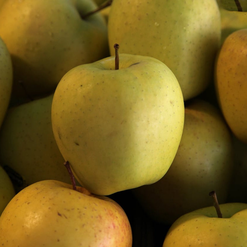 photo pomme goldrush rapprochée