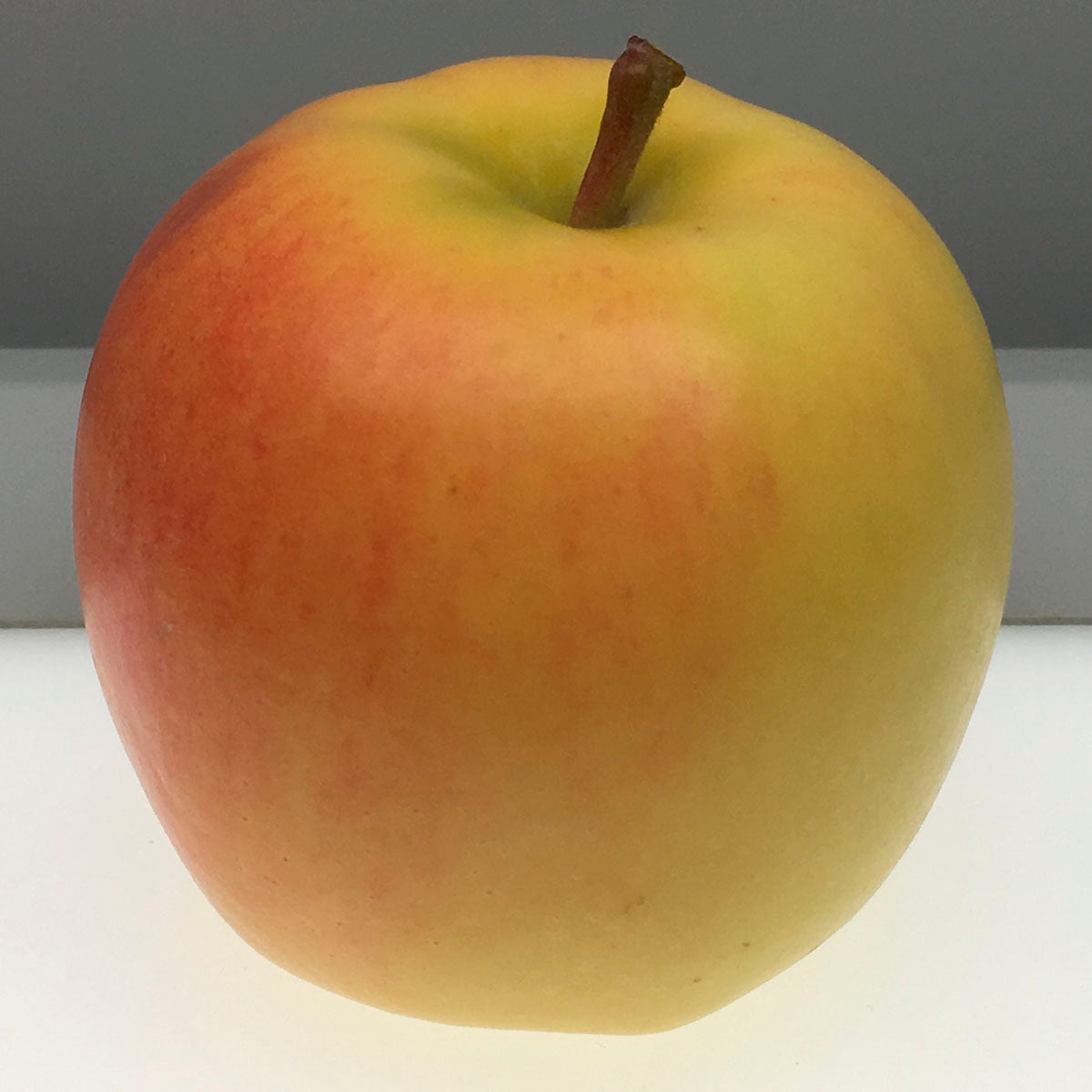 photo pomme grimes golden rapprochée