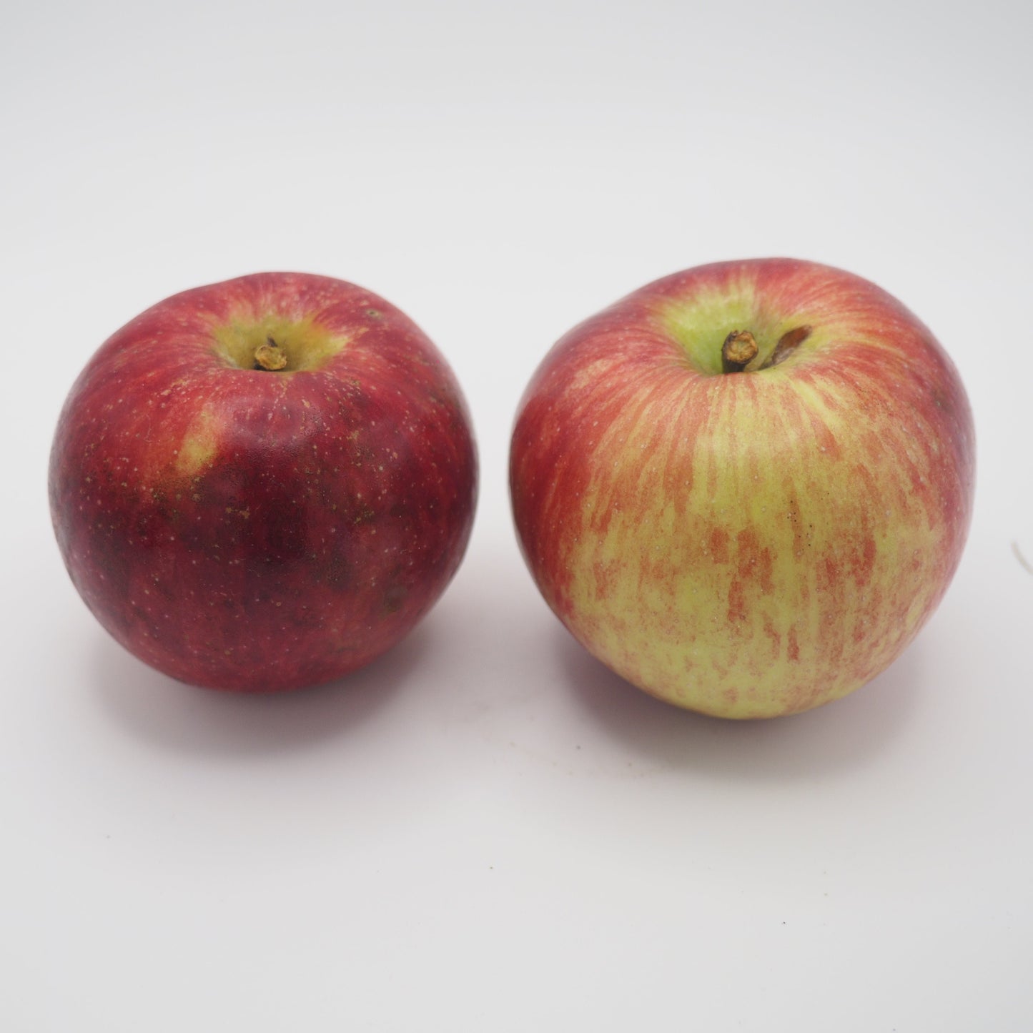 Photo montrant deux pommes LIberty rapprochée