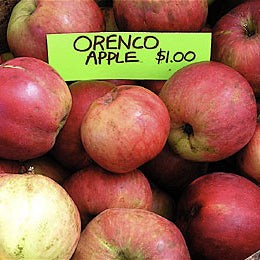 photos pommes orenco