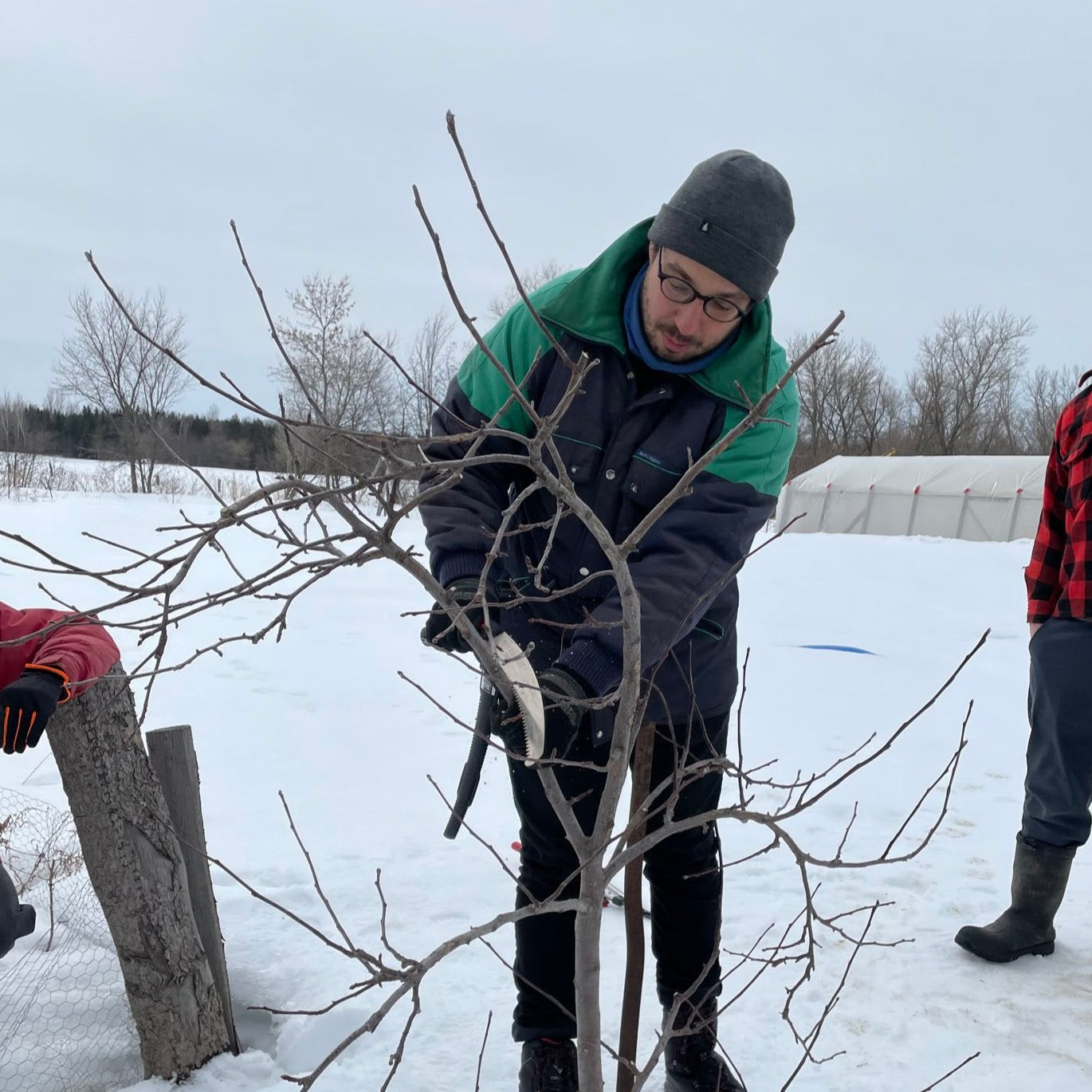 Formation sur la taille des arbres fruitiers