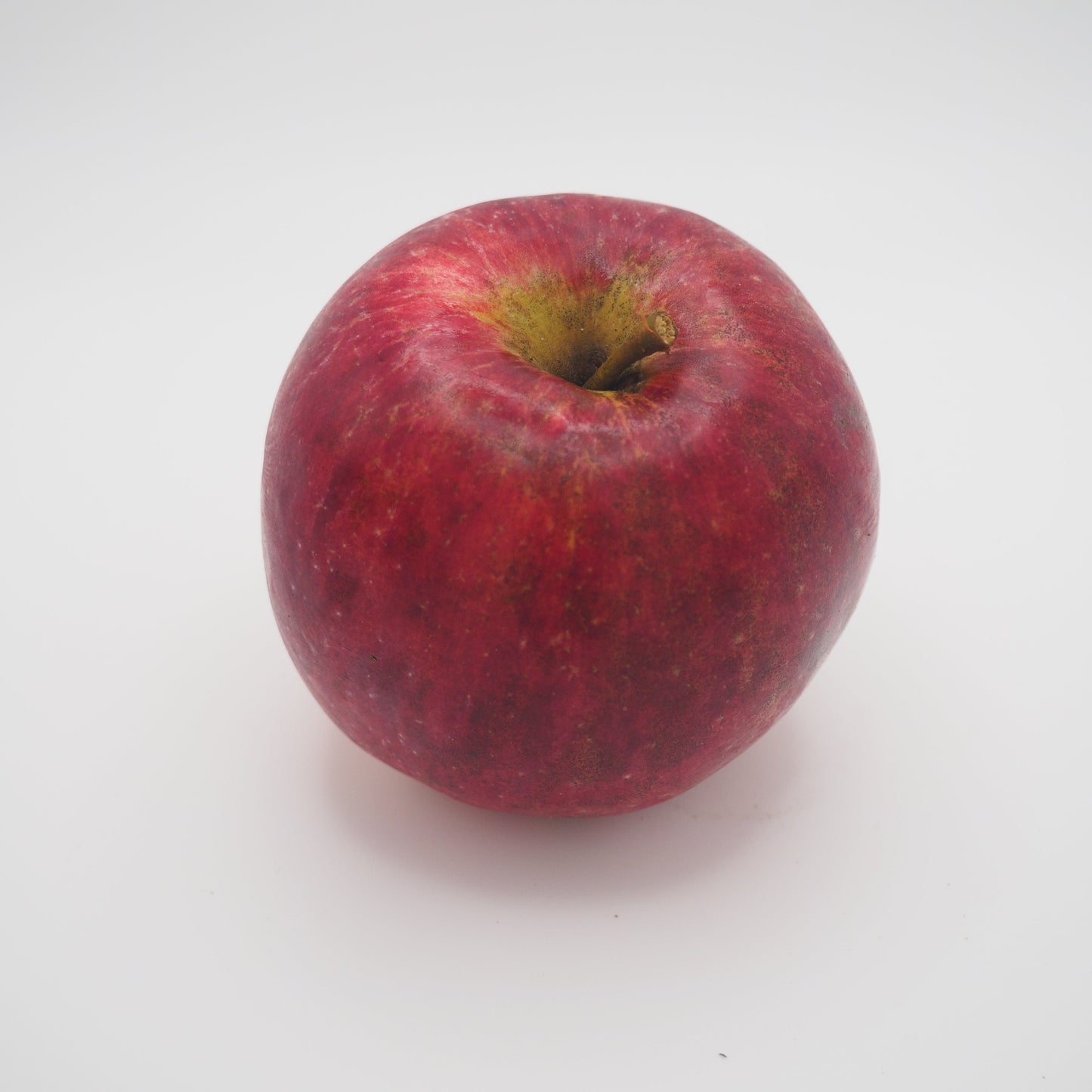 Pommier 'Richelieu'