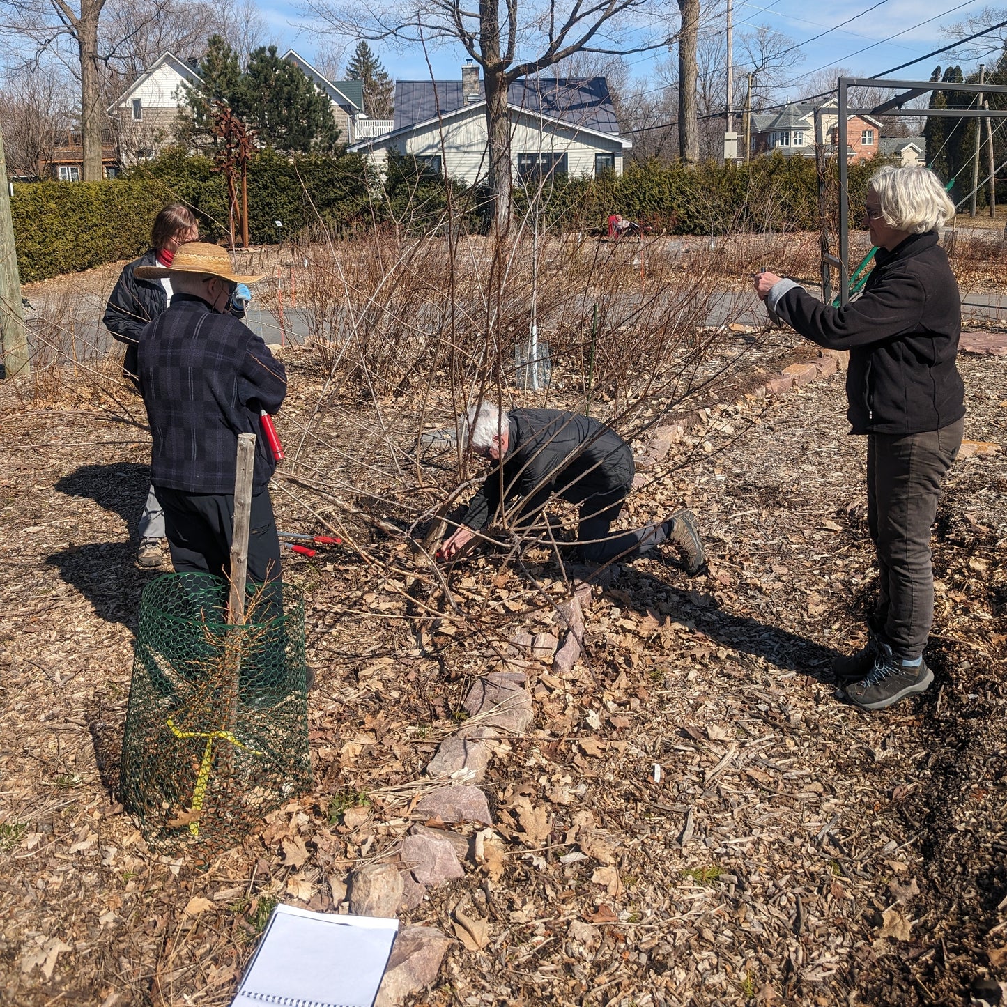 photo montrant des participants à une formation sur la taille d'arbustes fruitiers