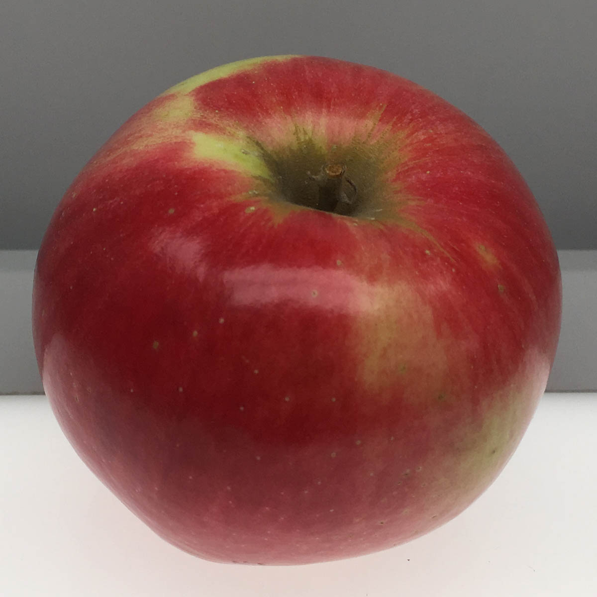 photo pomme freedom rapprochée