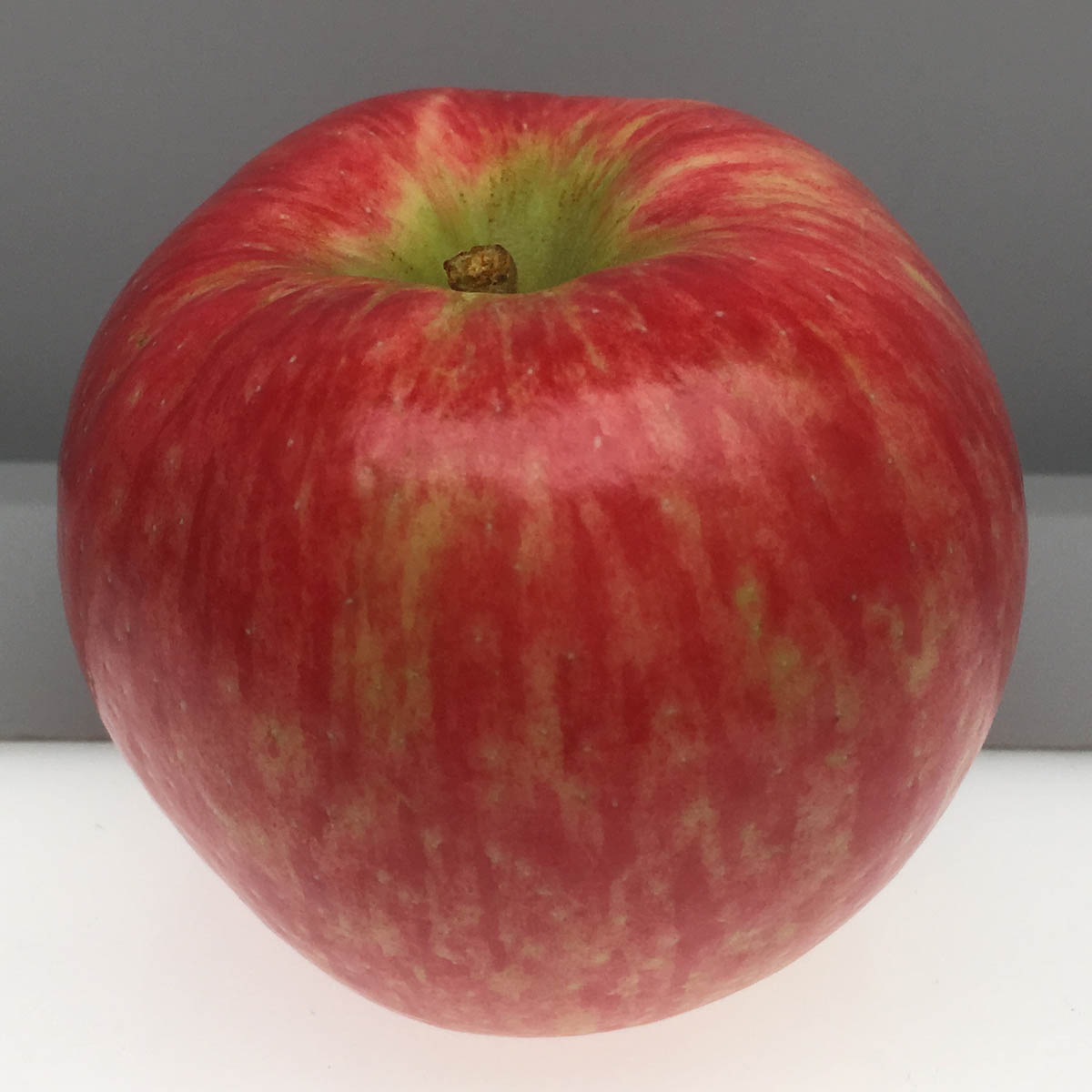 photo pomme honeycrisp rapprochée