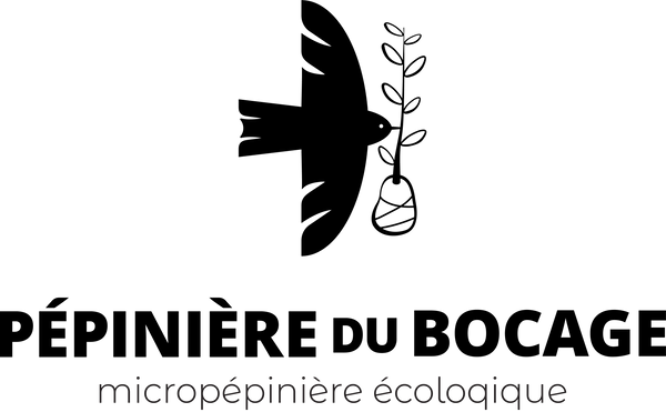 Pépinière arbres fruitiers arbres à noix écologique québec