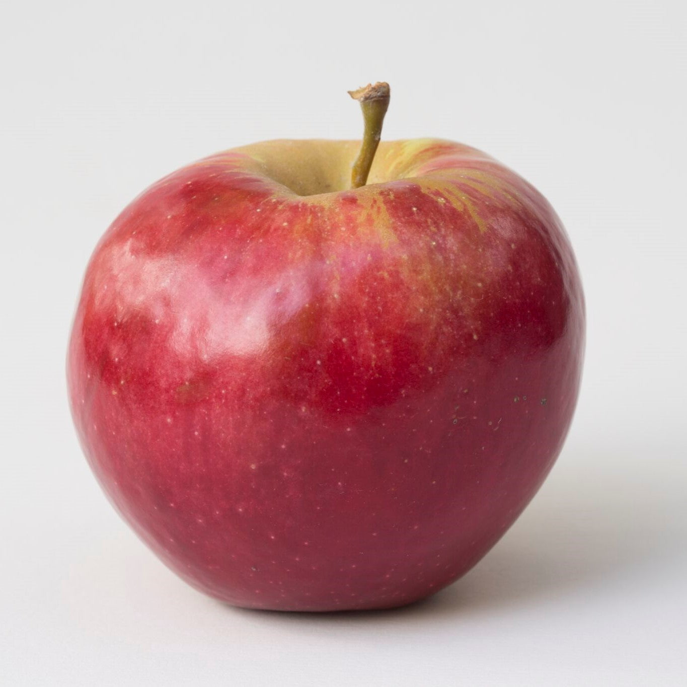 Pommier 'Sweet sixteen'