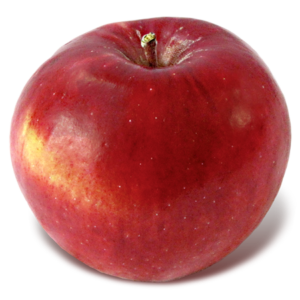 Pommier 'Winesap'