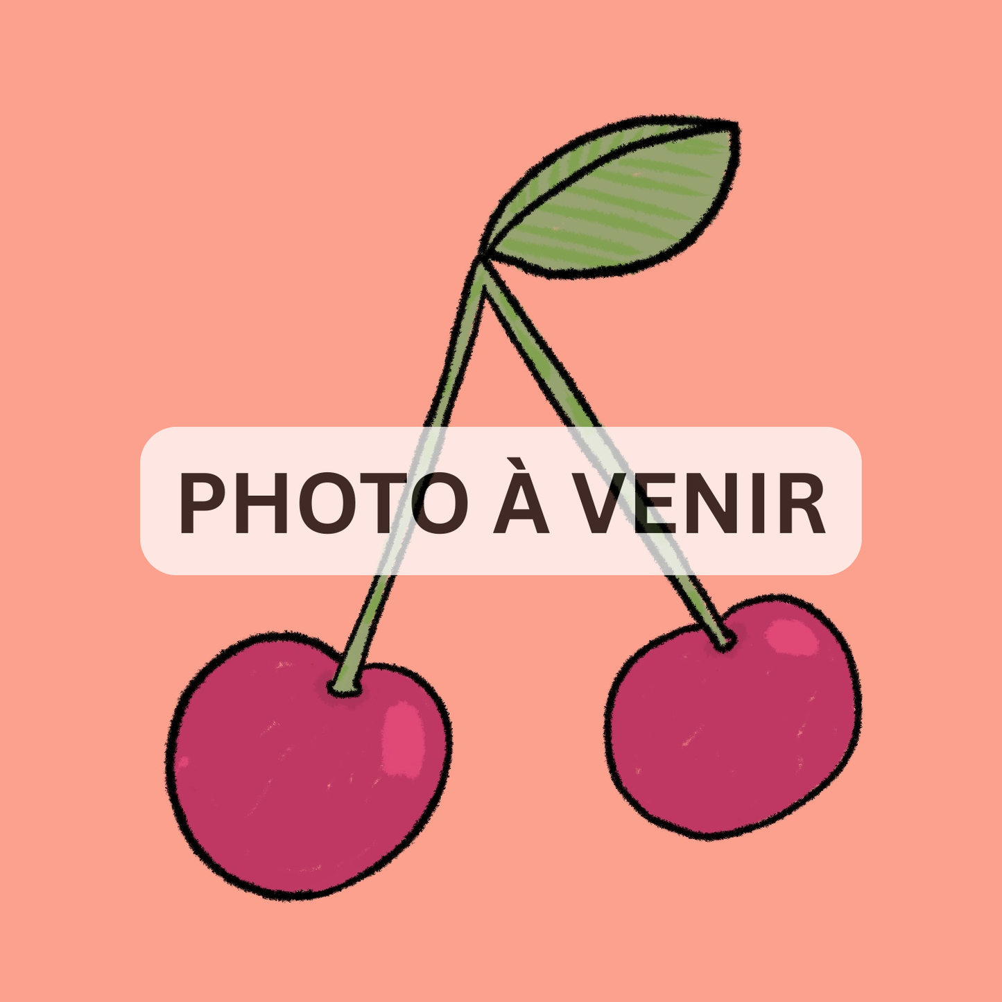 Cerisier Montmorency