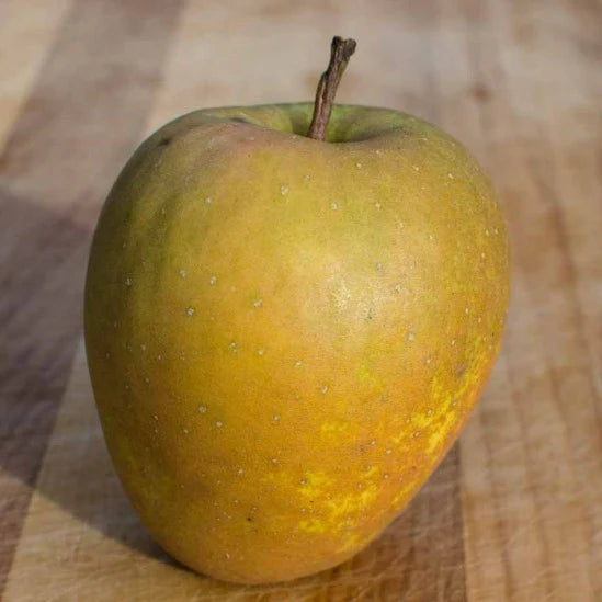 Pommier 'Hudson's Golden Gem'