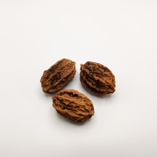 Noyer "buartnut" (hybride cendré/japonais)
