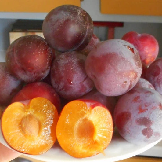 photo d'une assiette remplie de prune Toka à peau rouge et chair jaune