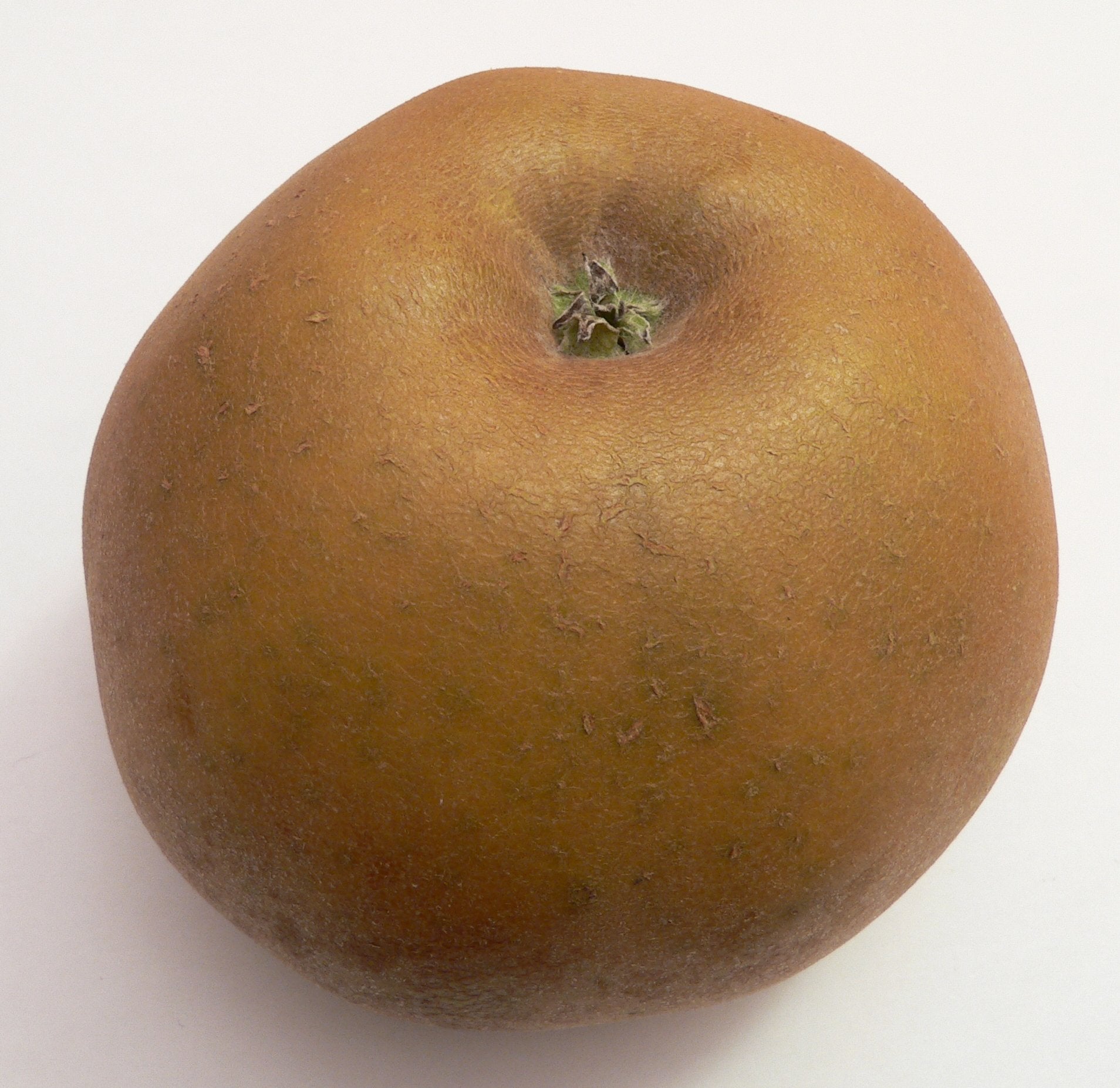 photo montrant une pomme 'reinette du canada'